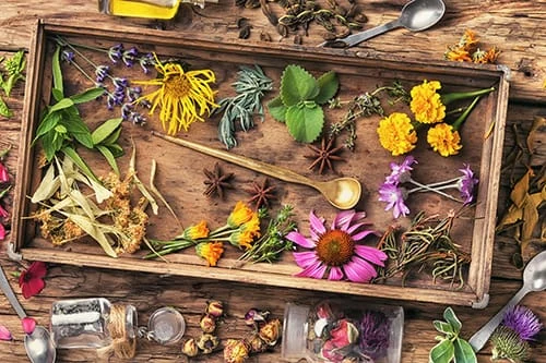 Holzkiste mit getrockneten Heilkräutern, Blüten und Gewürzen